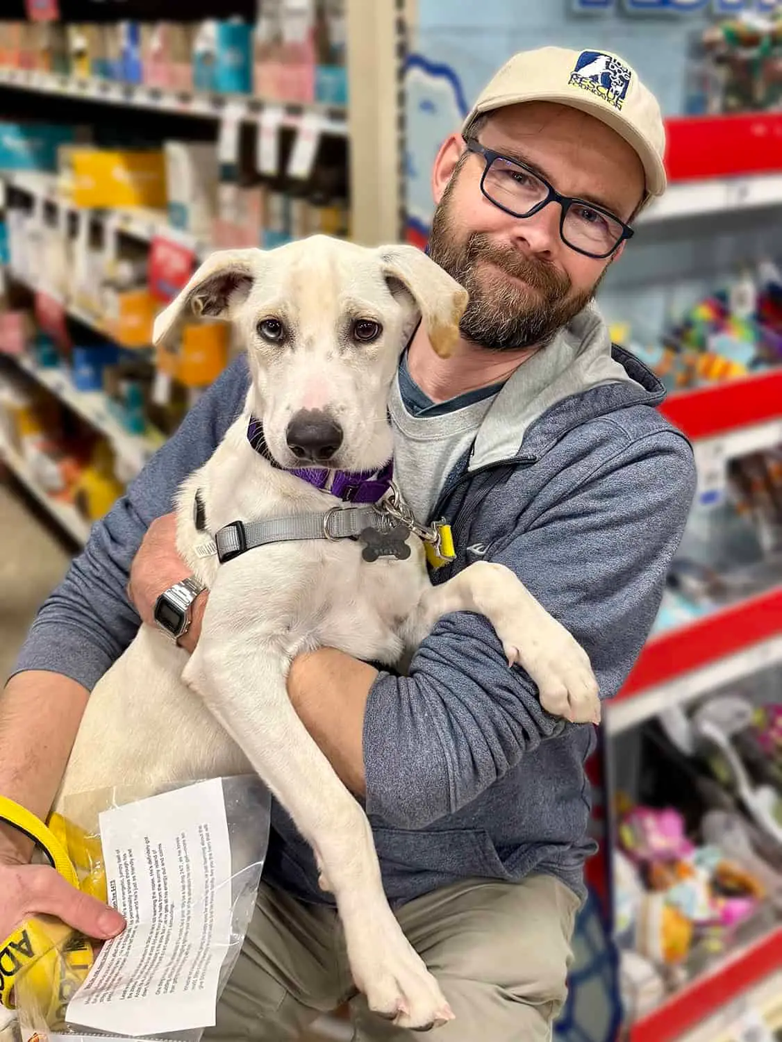 A volunteer foster caring for a rescued puppy